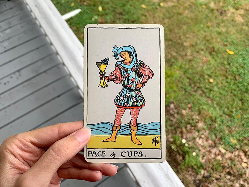 Page Of Cups trong các trải bài thực tế